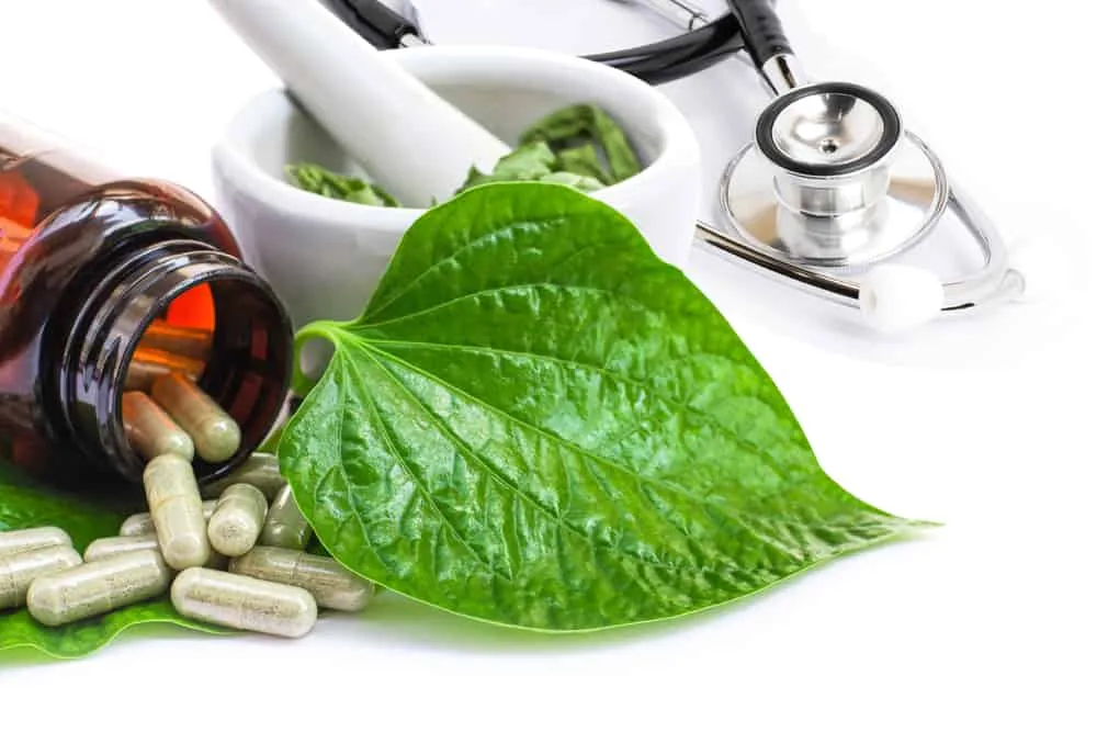 Cách chữa viêm âm đạo bằng lá trầu không