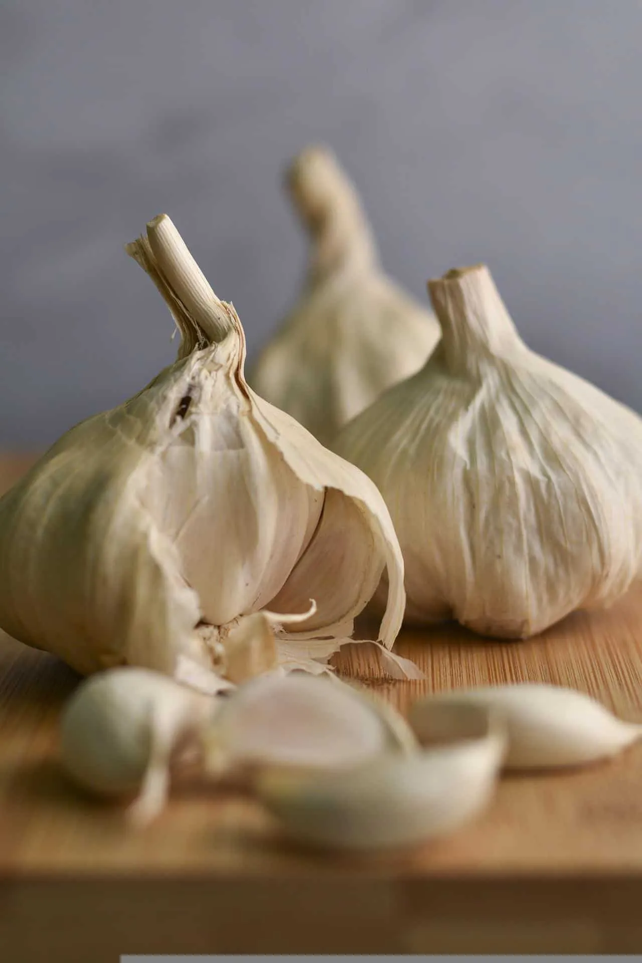 cách trị ho cho người lớn tuổi bằng tỏi