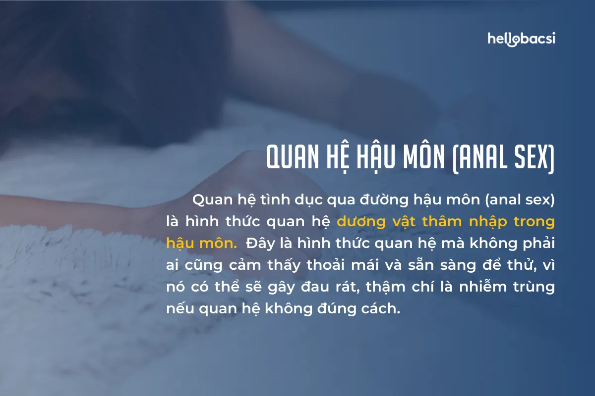 Quan hệ hậu môn (Anal sex)