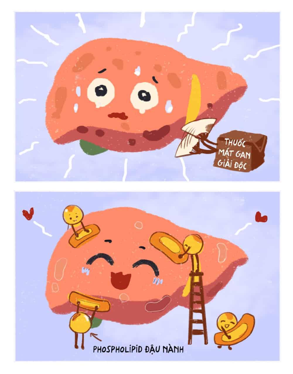 Hiểu lầm về bệnh gan không thể chữa khỏi