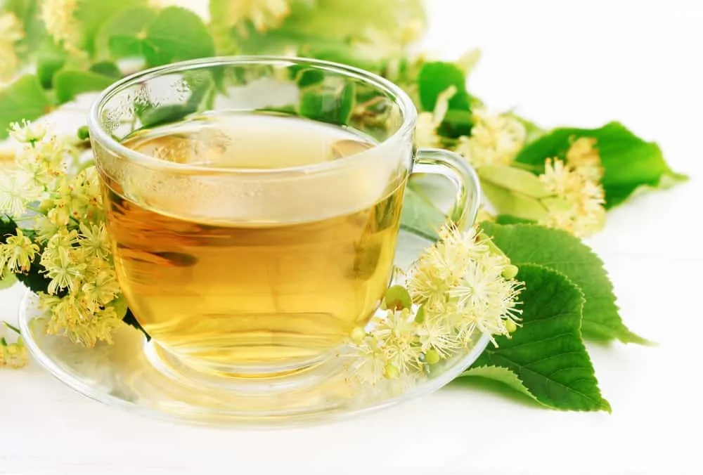 loét dạ dày nên uống trà xanh