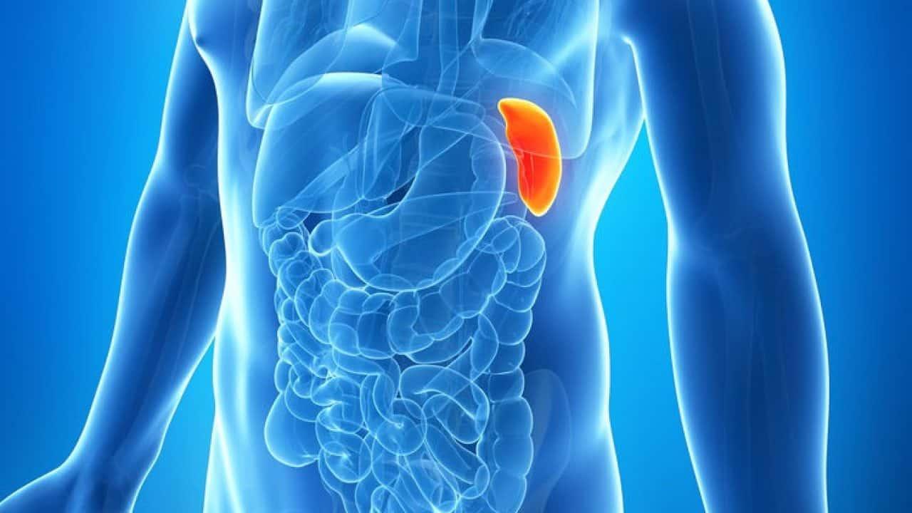 phì đại lá lách do bệnh tan máu bẩm sinh có nguy hiểm không