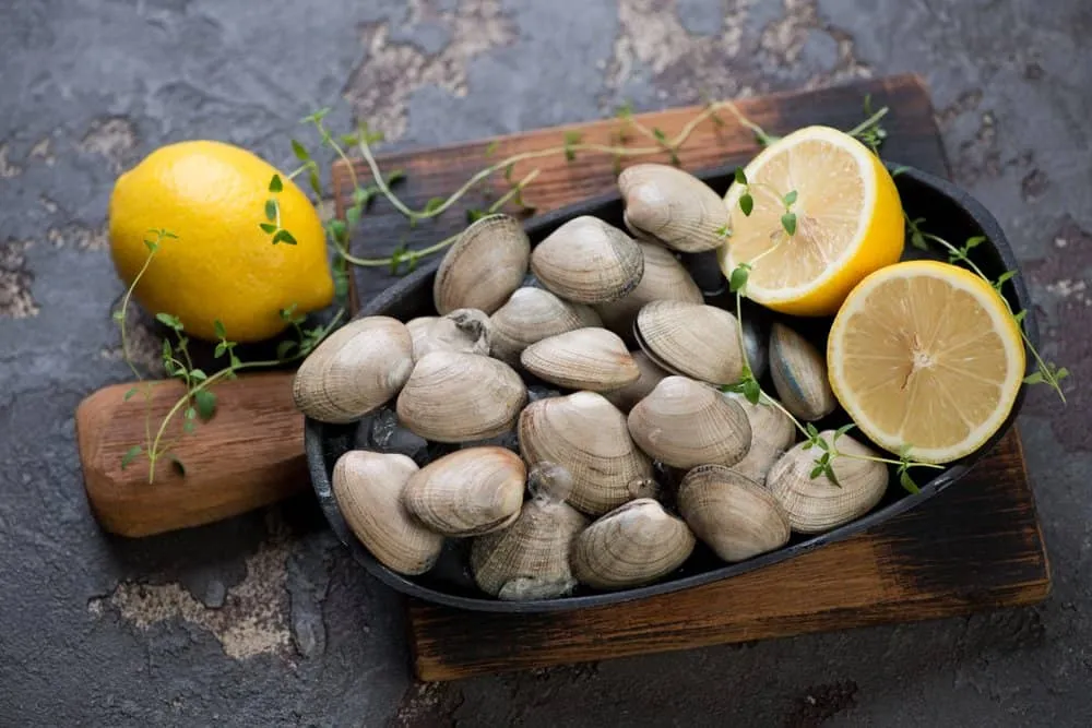 cách chữa bệnh trầm cảm