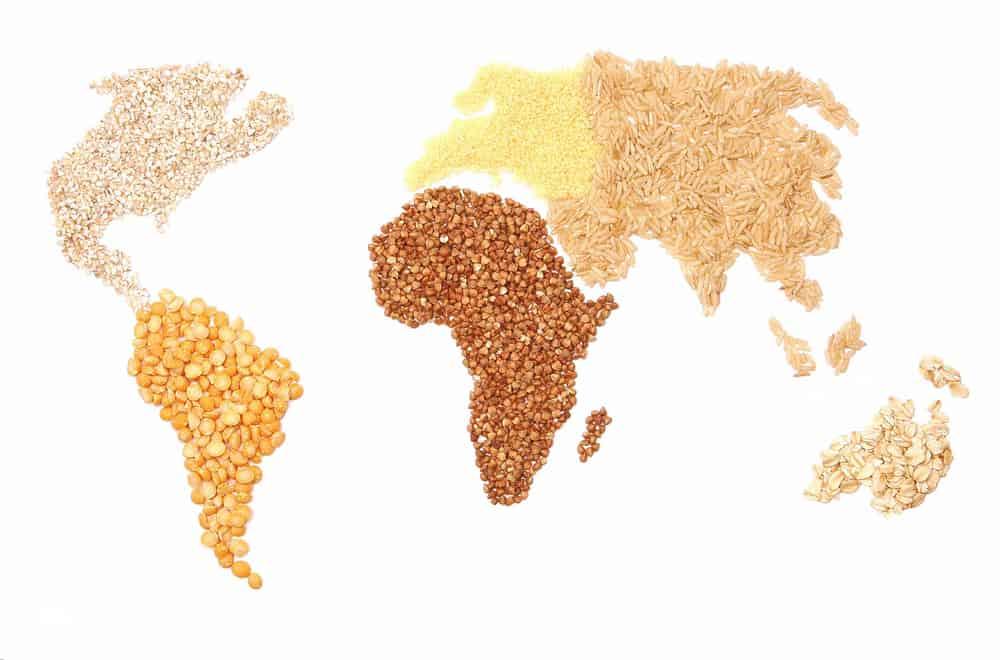 thành phần dinh dưỡng của gạo lứt