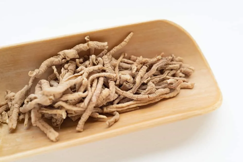 bài thuốc từ viễn chí