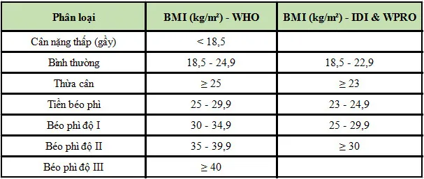 chỉ số BMI và BMR của cơ thể