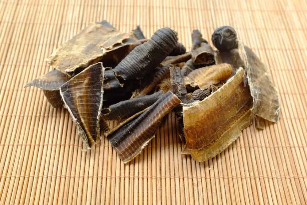 Giun đất địa long là gì