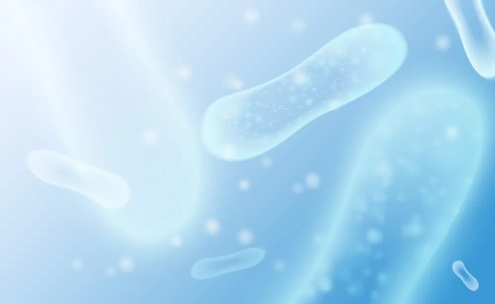 Men vi sinh lacbiosyn