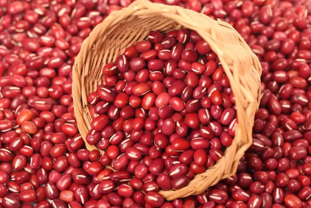 cách làm bột đậu đỏ 