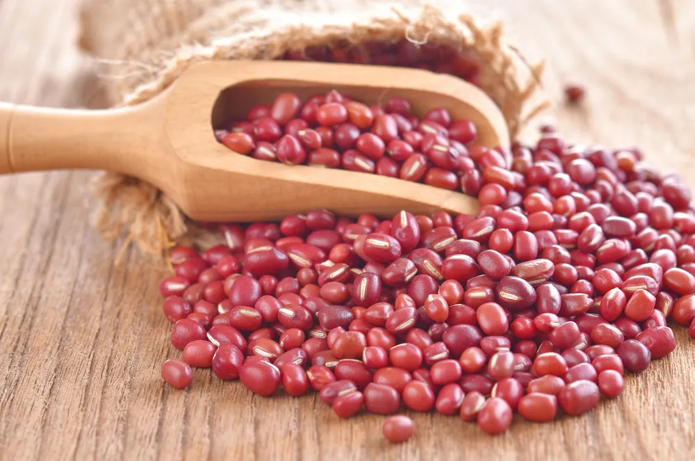 cách làm bột đậu đỏ 