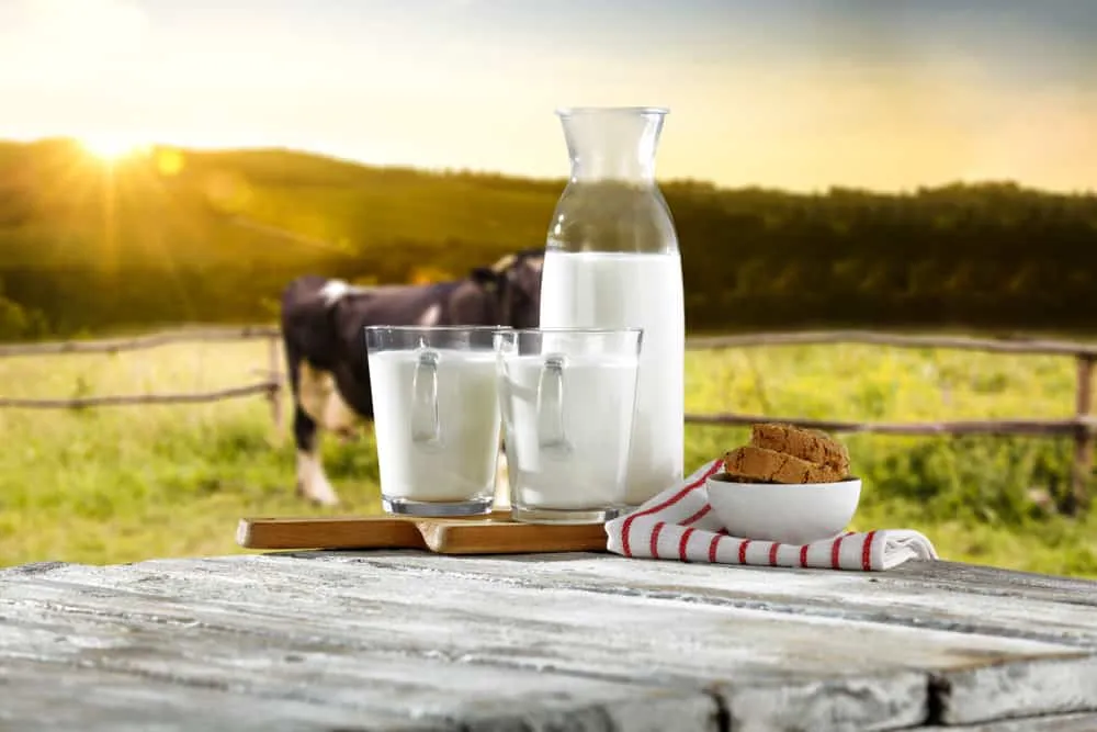 sữa tươi tiệt trùng 3