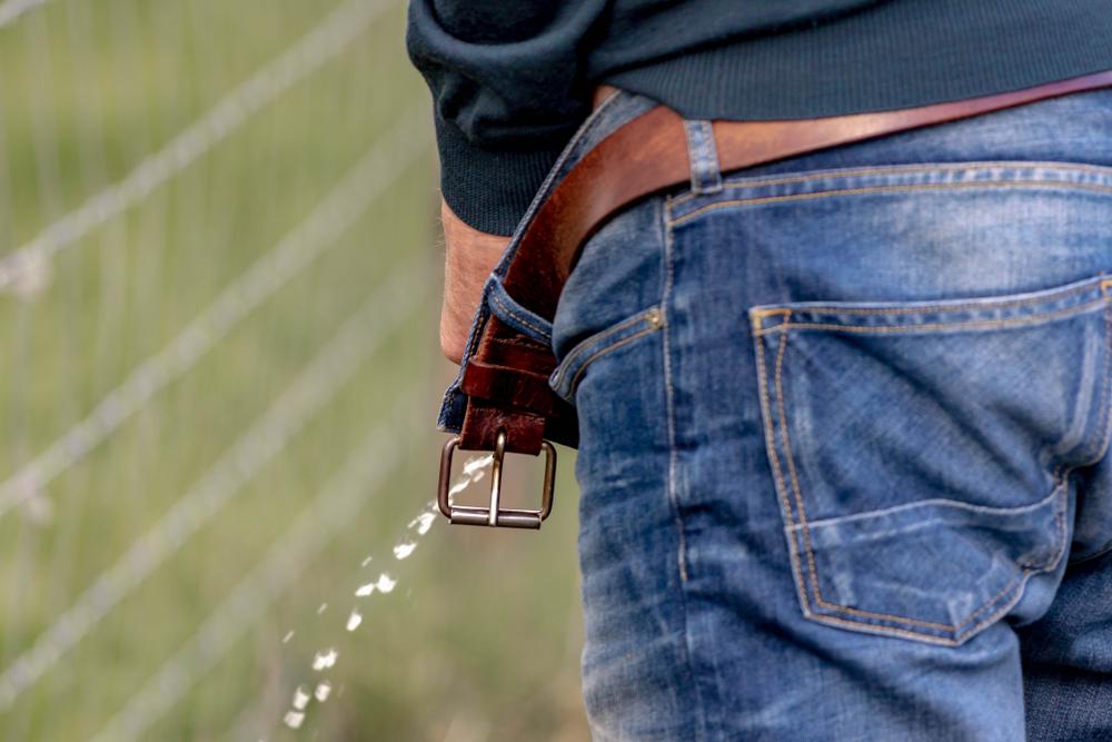 tuyến tiền liệt có chức năng gì? Đóng niệu đạo khi đi tiểu