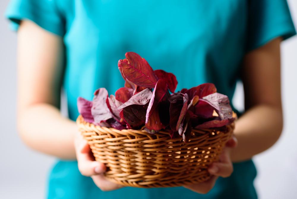 cháo sò huyết rau dền đỏ cho bé