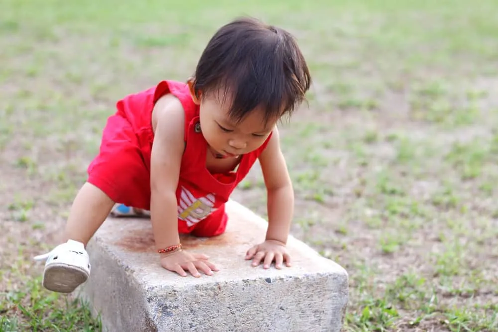 giày tập đi cho bé 