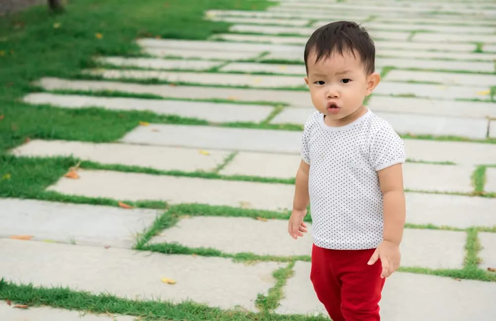 giày tập đi cho bé 