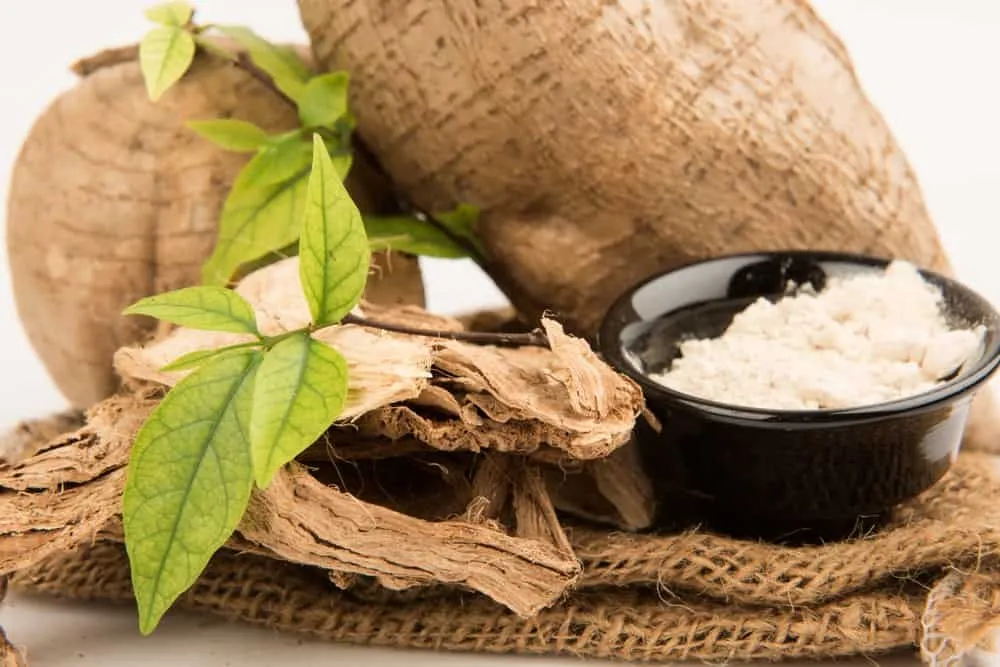 Bột sắn dây có tác dụng gì?