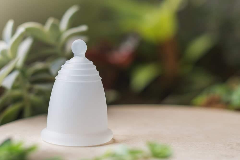 cốc nguyệt san có mấy size