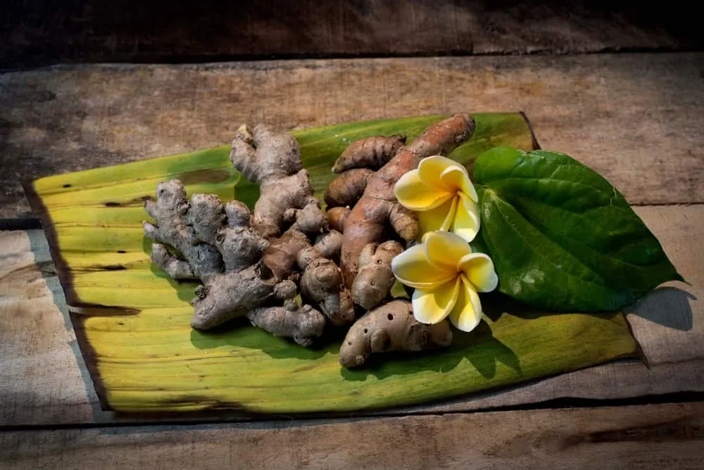 cách trị nám da mặt bằng lá trầu không và nghệ