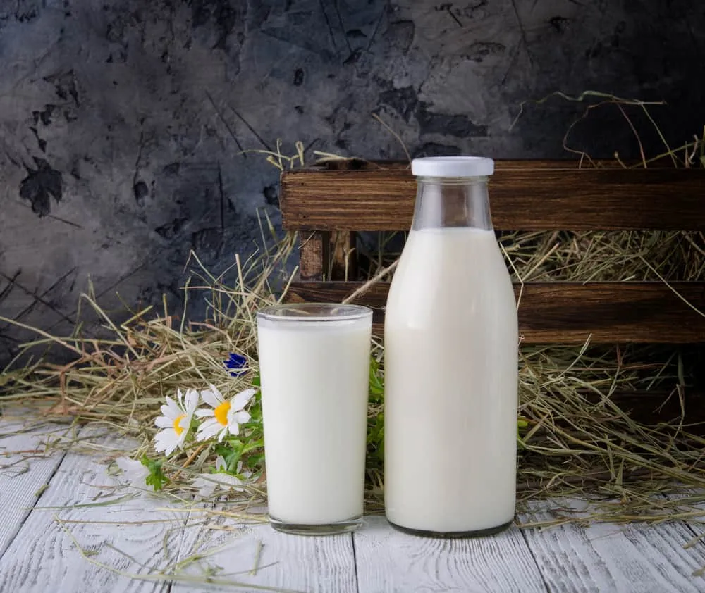 trẻ 1 tuổi uống sữa tươi được không 