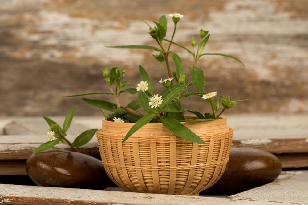 cách chữa viêm loét dạ dày tại nhà