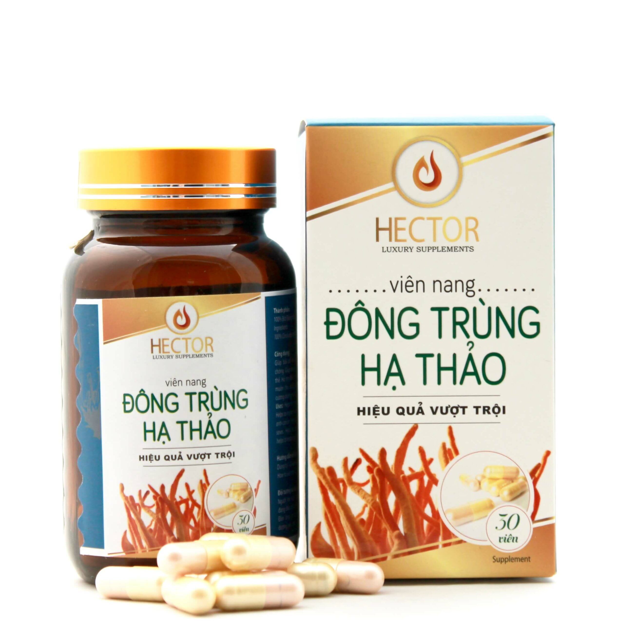 viên uống đông trùng hạ thảo