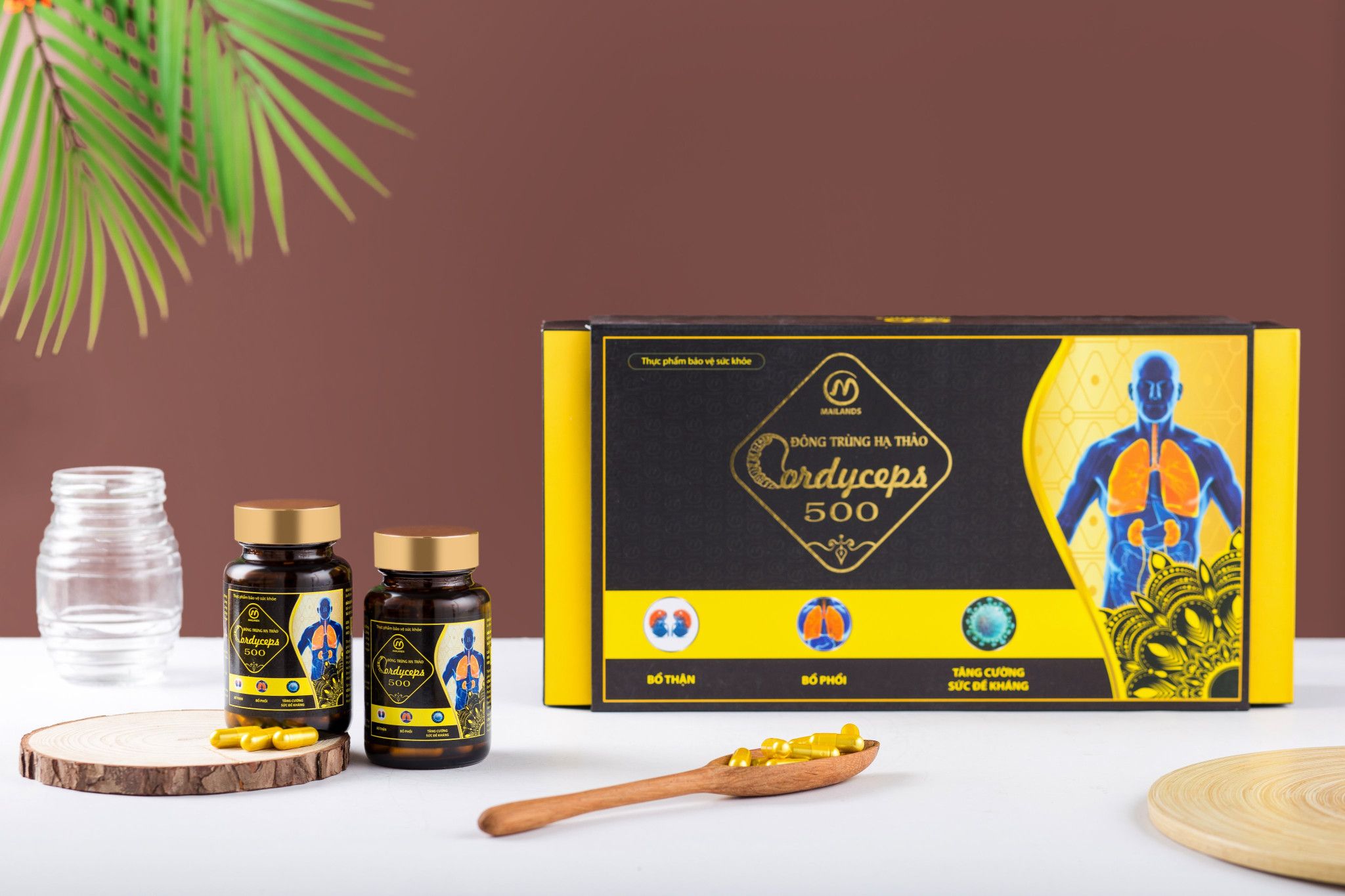 viên uống đông trùng hạ thảo