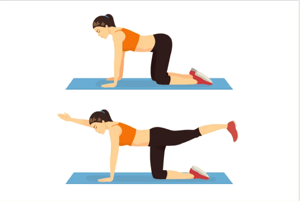 bài tập cho người đau lưng