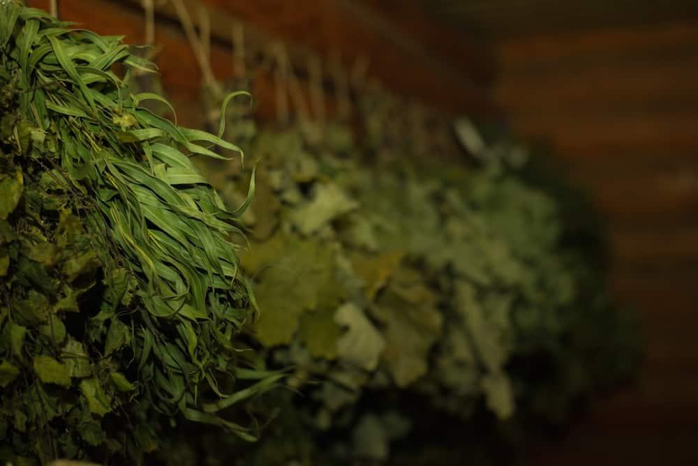 những bó lá xông