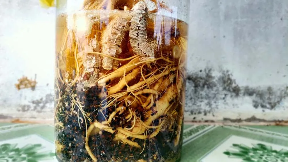 Sâm dây Ngọc Linh ngâm rượu