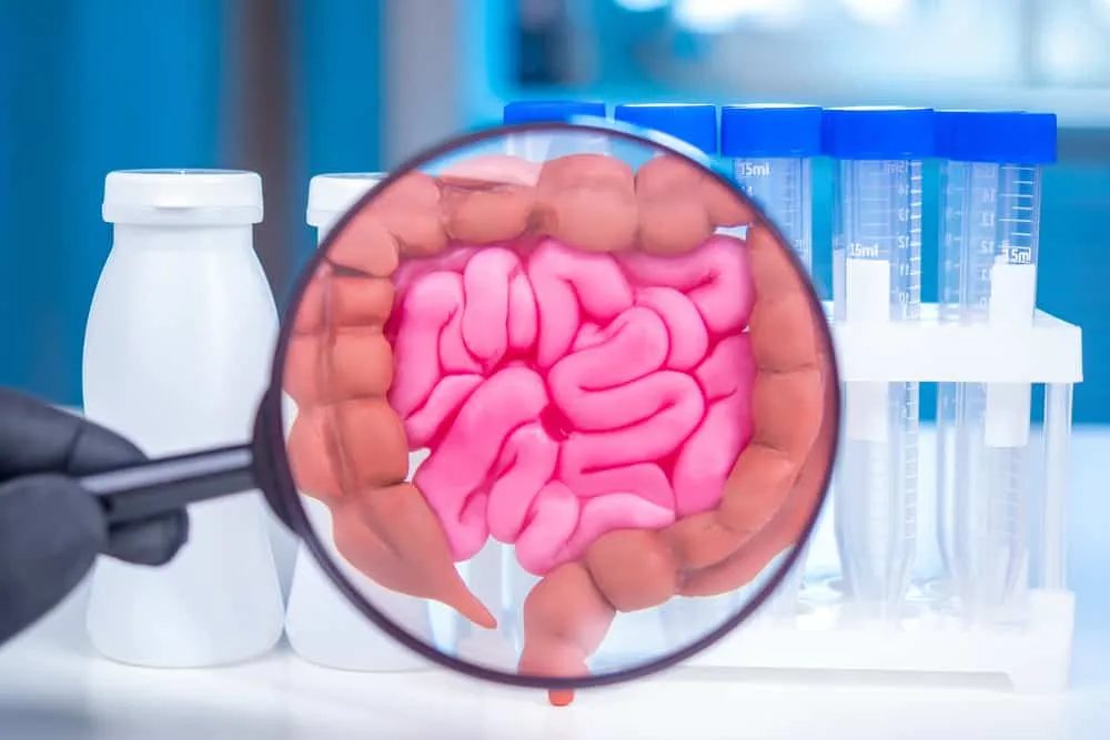 Sử dụng men vi sinh để tránh mất cân bằng hệ vi sinh đường ruột