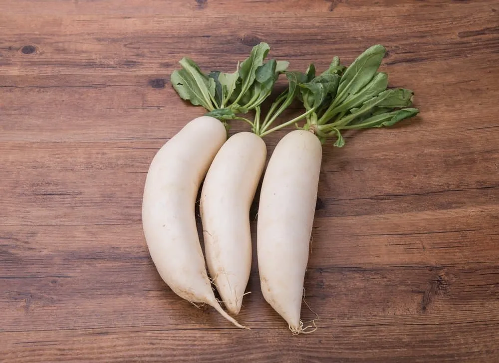 củ cải trắng có công dụng