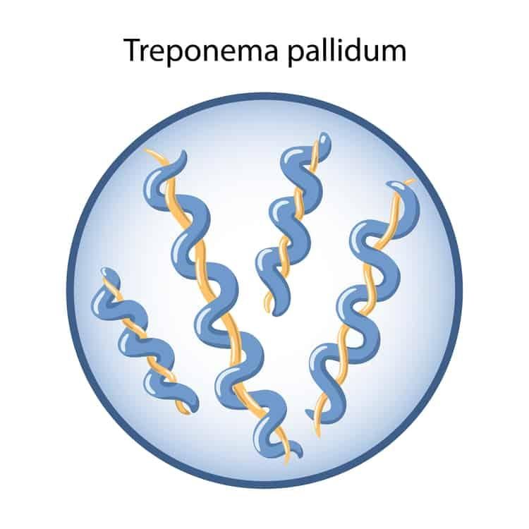 Giang mai ở bộ phận sinh dục