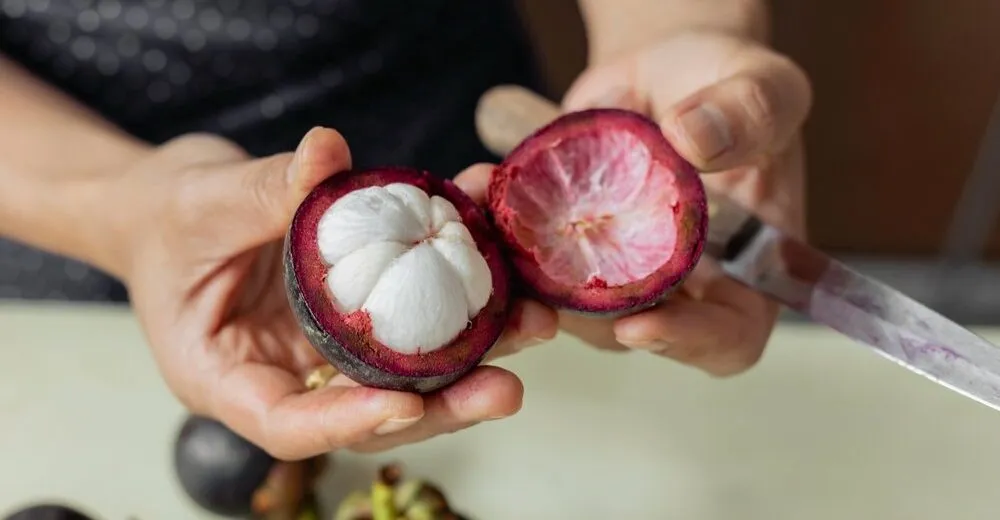 Ăn mặng cụt có béo không: cách ăn măng cụt lành mạnh