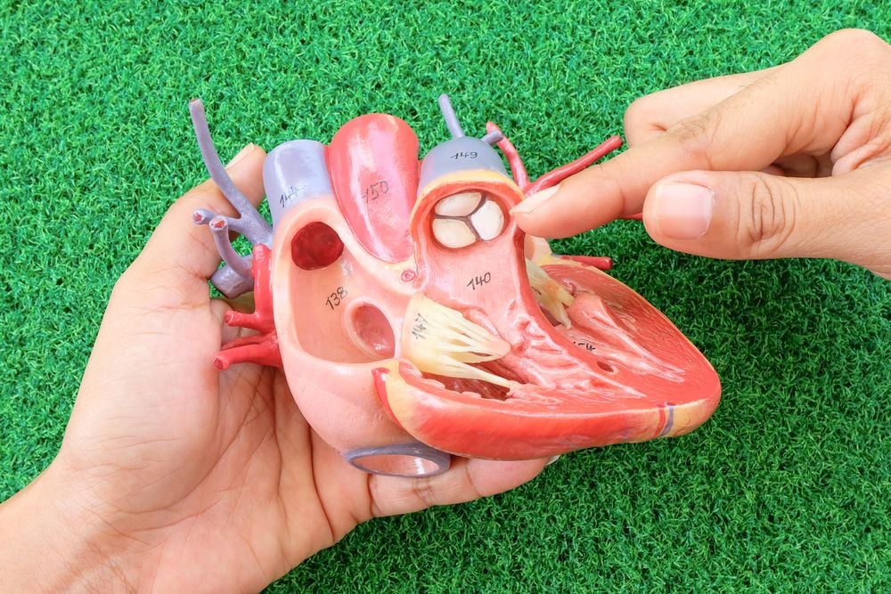 nguyên nhân gây hẹp van 3 lá