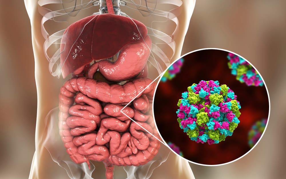 tiêu chảy có lây không