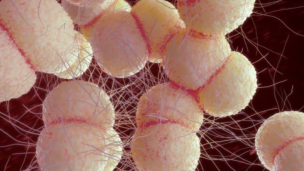 bệnh lậu có chữa được không