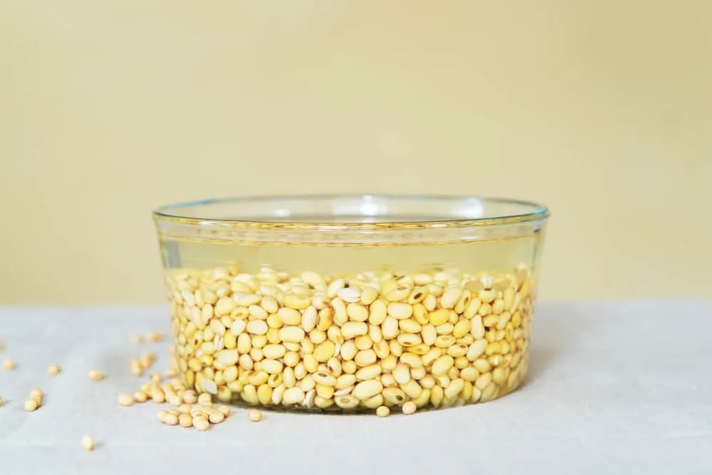 cách làm đậu hũ non