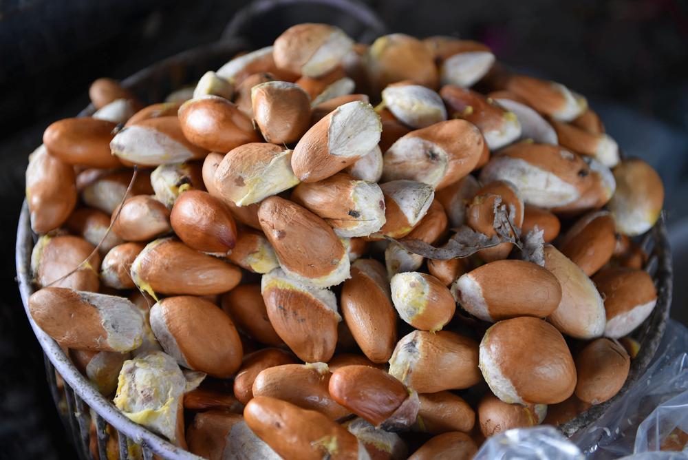 Hạt sầu riêng có ăn được không