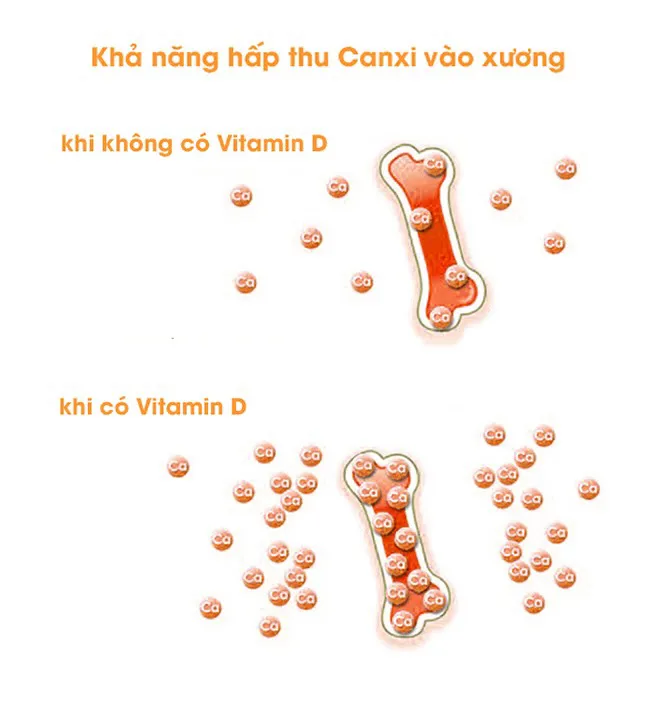 cách bổ sung vitamin D