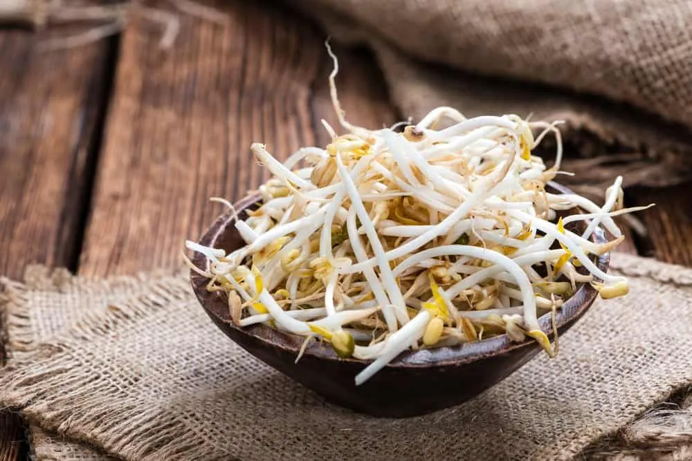 Mẹo chữa đi tiểu nhiều lần trong ngày bằng giá đỗ 