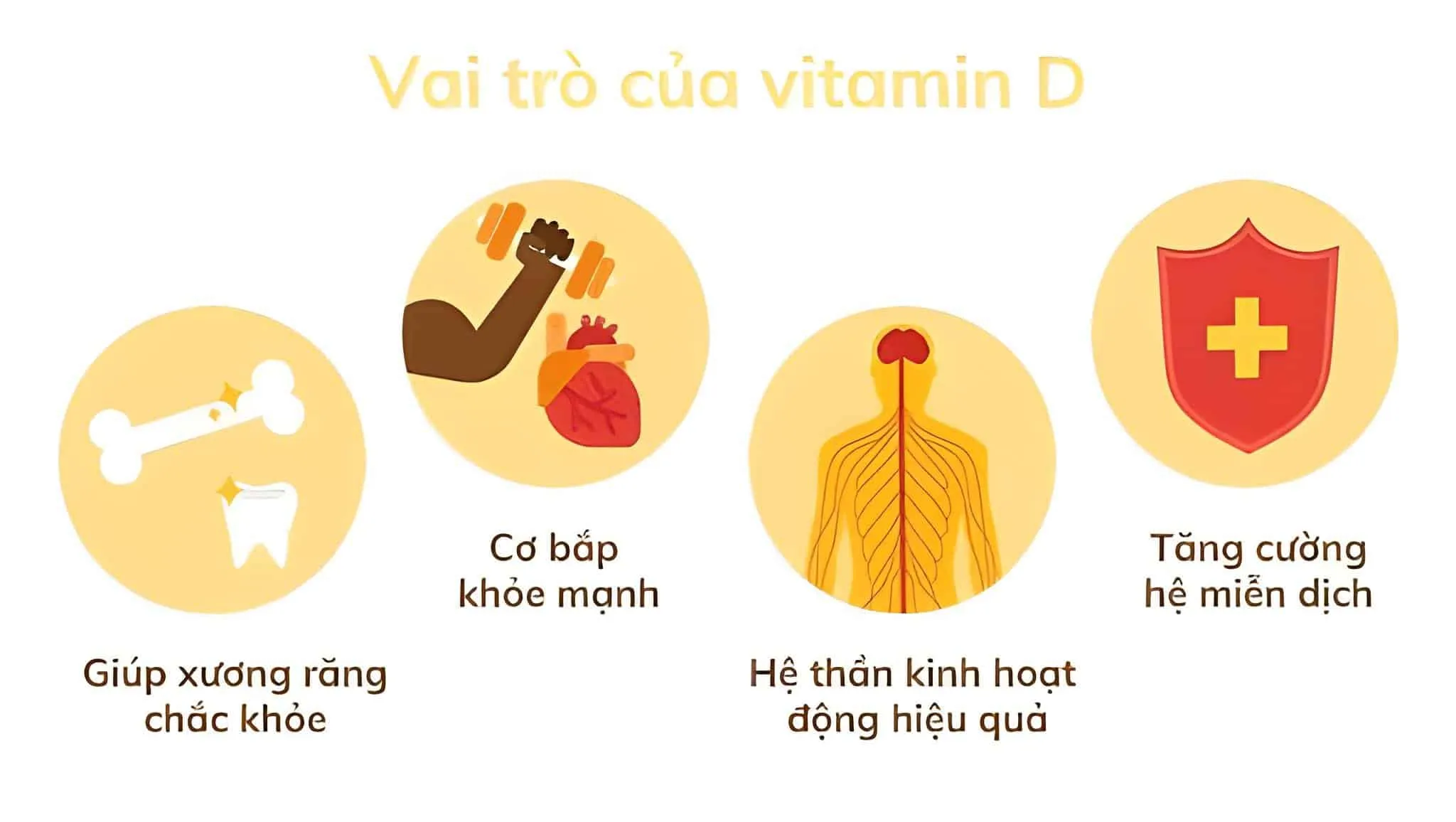 cách bổ sung vitamin d