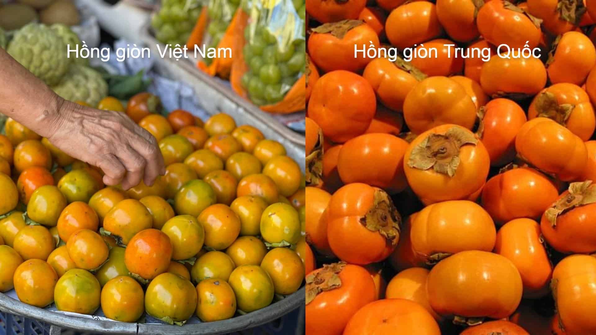 hồng giòn Việt Nam và hồng giòn Trung Quốc