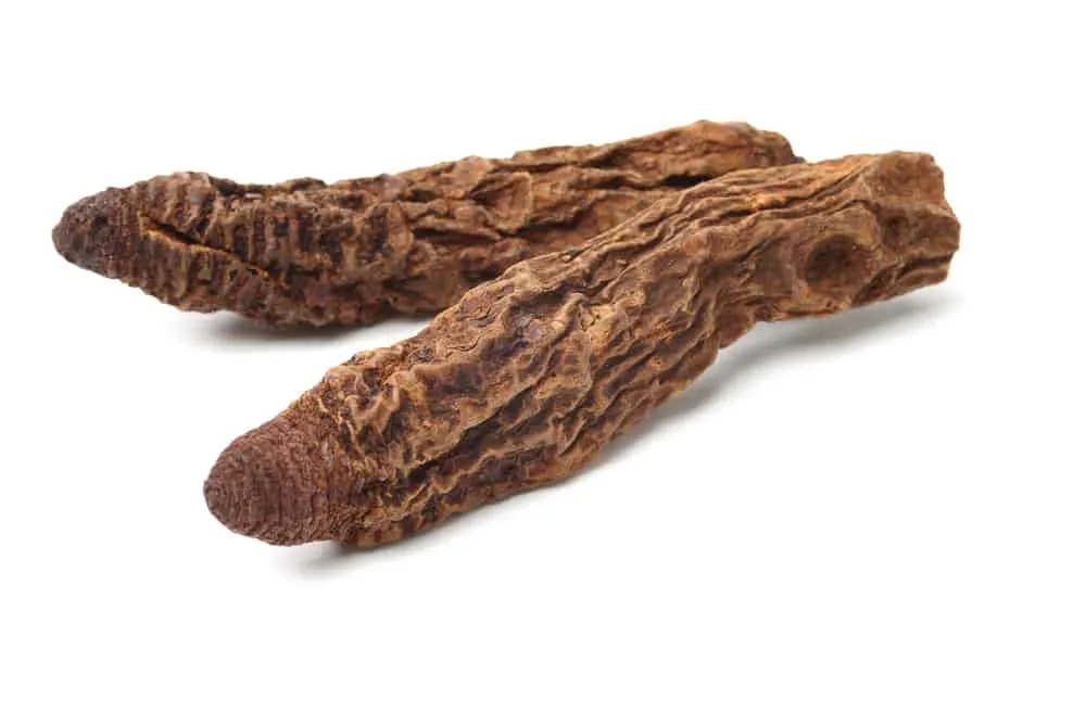 nấm ngọc cẩu khô