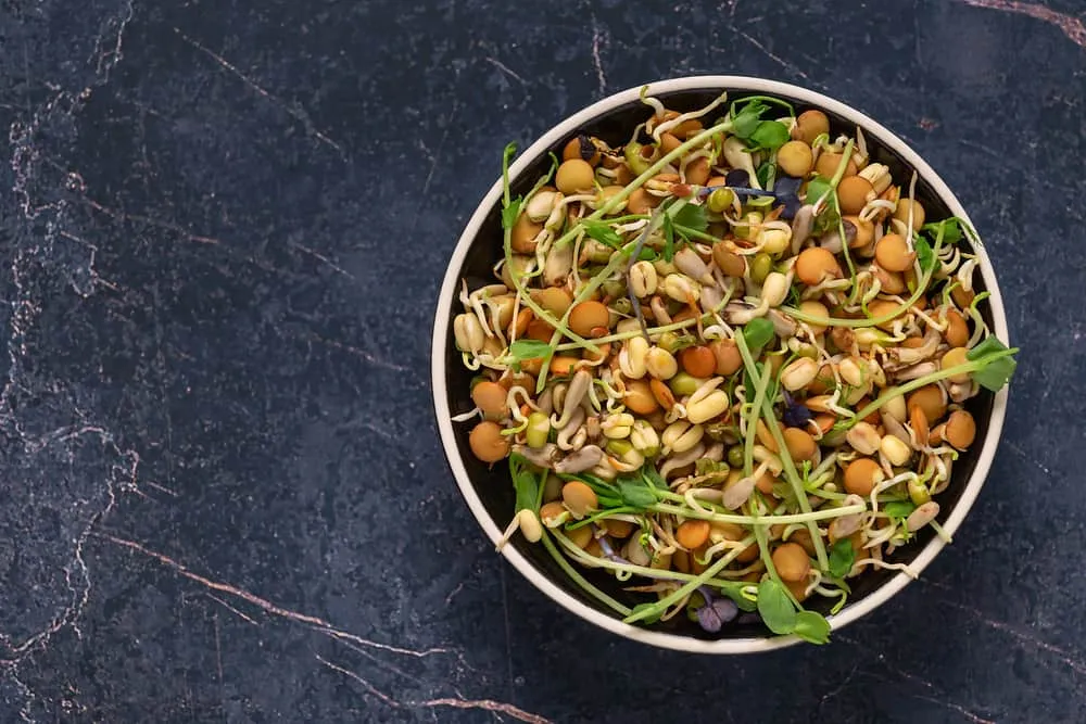 Ngũ cốc ăn sáng nguyên hạt nảy mầm dễ tiêu hóa và chứa nhiều chất dinh dưỡng