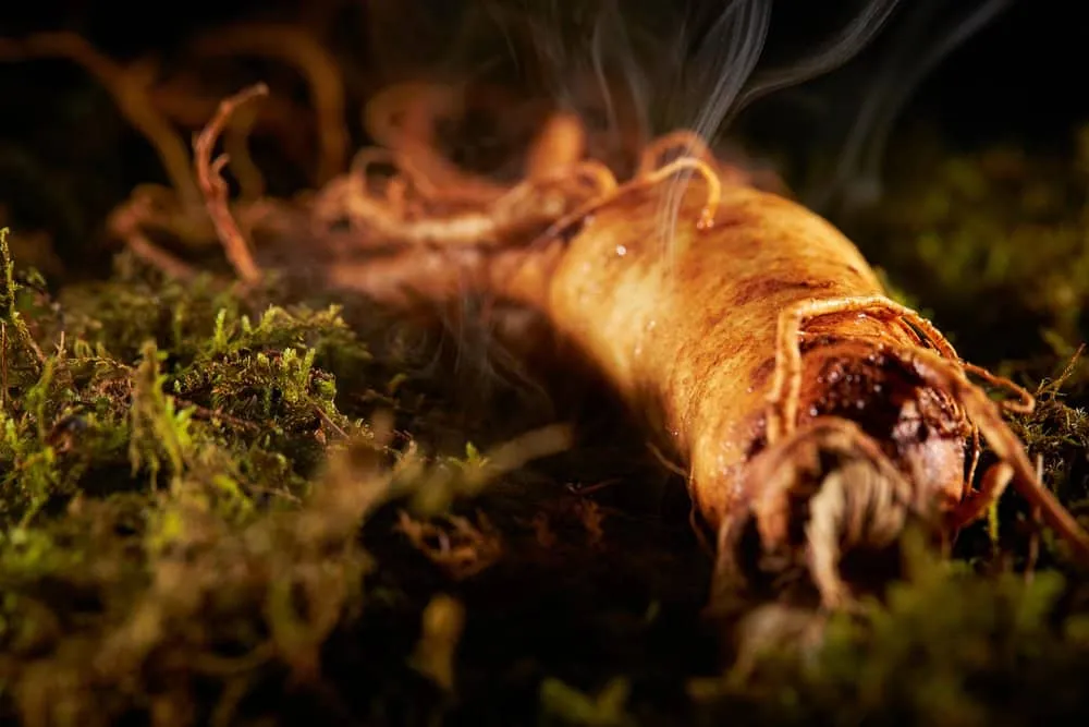 Những ai không nên uống hồng sâm?