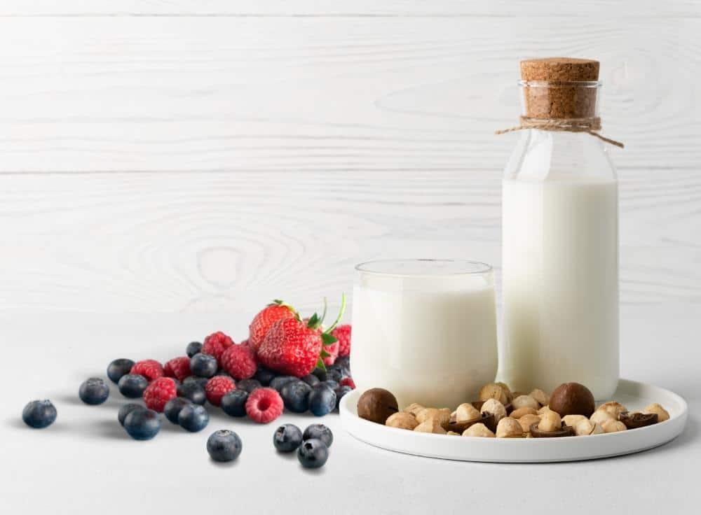 cách nấu sữa hạt maccca quả mọng