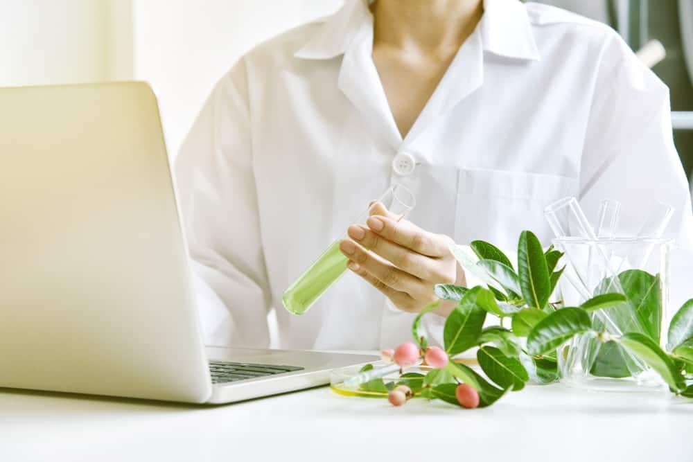 tác dụng của cây xạ đen tươi