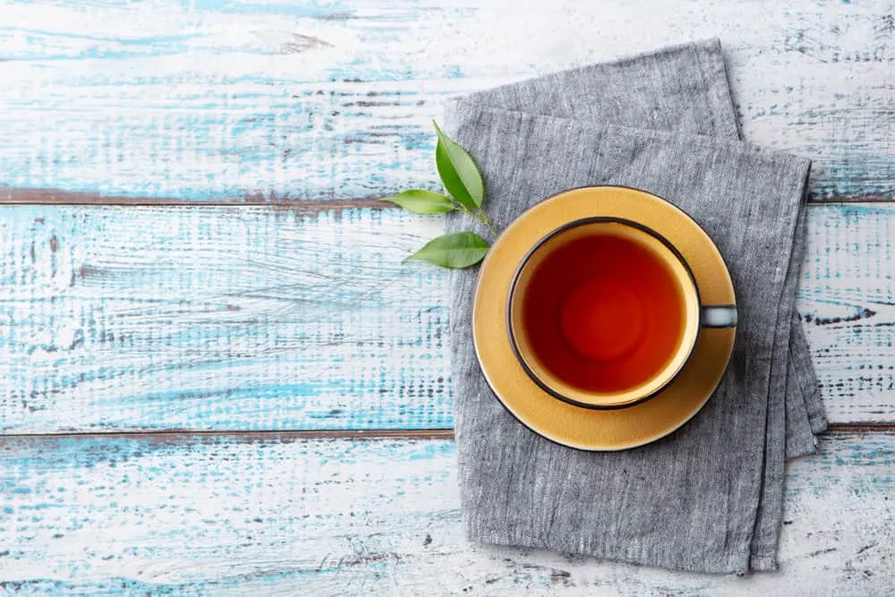 cây đuôi chuột trị bệnh gì