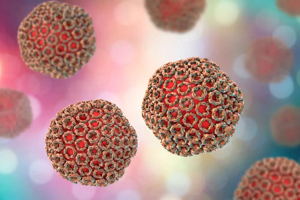 muỗi đốt có thể gây ra bệnh gì