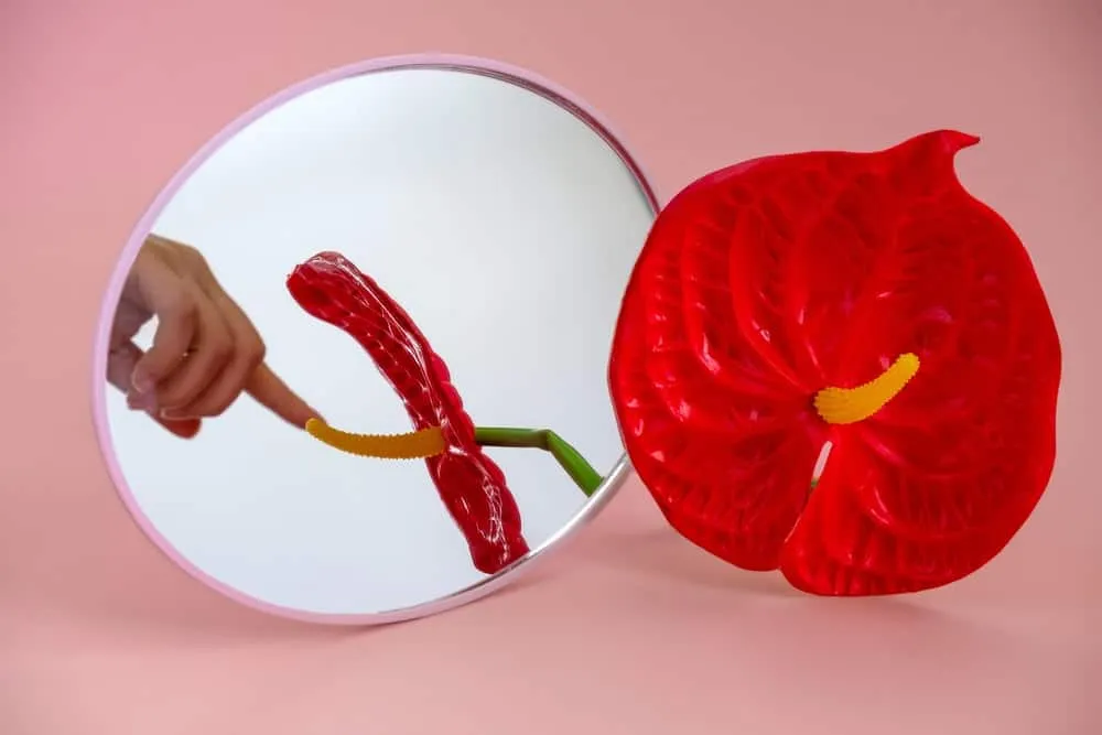 Những lợi ích khi massage vùng kín nữ